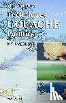 Shmatova, Olga - Techniques Gouache Painting for Beginners vol.2: secrets of professional artist