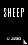 Cofrancesco, Joan - Sheep