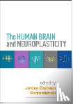  - The Human Brain and Neuroplasticity