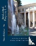 Lopez Esq, Victor D. - Intellectual Property Law: A Practical Guide to Copyrights, Patents, Trademarks and Trade Secrets