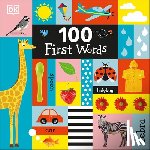 Dk - 100 First Words