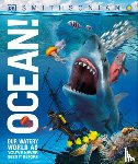 DK - Ocean!