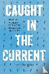 Ibarguen, Irvin - Caught in the Current