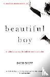 Sheff, David - Beautiful Boy