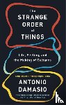 Damasio, Antonio - The Strange Order Of Things