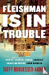 Brodesser-Akner, Taffy - Fleishman Is in Trouble