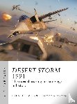 Hallion, Dr Richard P. - Desert Storm 1991