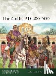 D’Amato, Raffaele (Author), Salimbeti, Andrea - The Goths AD 200–700