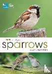 Beer, Amy-Jane - RSPB Spotlight Sparrows