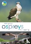 Mackrill, Tim (Author) - RSPB Spotlight Ospreys