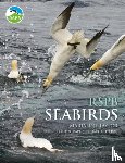 Taylor, Marianne - RSPB Seabirds