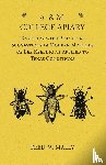 Mally, Fred W - A. & M. College Apiary - Together with Practical Suggestions in Modern Methods of Bee Keeping as Applied to Texas Conditions