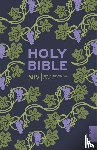 Version, New International - NIV Holy Bible (Hodder Classics)