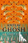 Ghosh, Amitav - Ghost-Eye