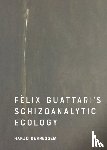 Berressem, Hanjo (Professor of American Studies - Felix Guattari's Schizoanalytic Ecology