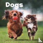 Amstutz, Lisa J. - Dogs