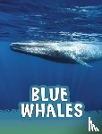 Schuh, Mari - Blue Whales