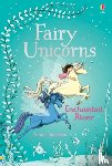 Davidson, Zanna - Fairy Unicorns Enchanted River