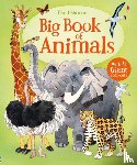 Maskell, Hazel - Big Book of Animals