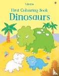Taplin, Sam - First Colouring Book Dinosaurs