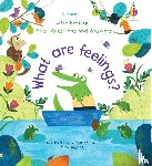 Daynes, Katie - First Questions and Answers: What are Feelings?