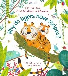 Daynes, Katie - First Questions and Answers: Why Do Tigers Have Stripes?