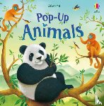 Milbourne, Anna - Pop-up Animals