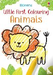 Robson, Kirsteen - Little First Colouring Animals