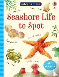 Smith, Sam - Seashore Life to Spot