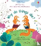 Daynes, Katie - First Questions and Answers: Why Do Things Die?
