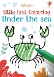 Robson, Kirsteen - Little First Colouring Under the Sea
