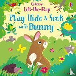 Taplin, Sam - Play Hide and Seek with Bunny