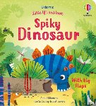Milbourne, Anna - Little Lift and Look Spiky Dinosaur