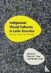  - Indigenous Visual Cultures in Latin America