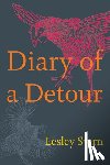 Stern, Lesley - Diary of a Detour