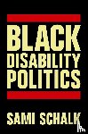 Schalk, Sami - Black Disability Politics