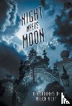 Linden Mize - The Journeys of Mason Night