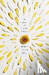 Haddix, Margaret Peterson - The Summer of Broken Things