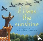 Fogliano, Julie - If I Was the Sunshine