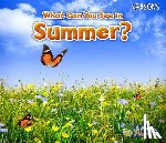 Smith, Sian - What Can You See in Summer?