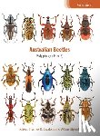 Escalona, Hermes E. - Australian Beetles: Polyphaga (Part 2)
