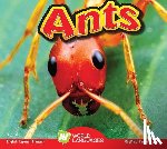 Carr, Aaron - Ants