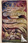 Jonson, Will - Songs of Innocence and of Experience