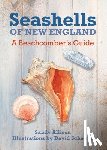 Allison, Sandy - Seashells of New England