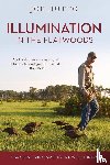 Hutto, Joe - Illumination in the Flatwoods