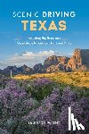 Parent, Laurence - Scenic Driving Texas