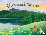 Heinz, Brian J. - Adirondack Spring