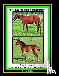 Montgomery, Sarah A. - Breeding For Solid Conformation