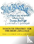 Steering Committee of the Philo-Celtic S - 20-Month Strategy for the Irish Language