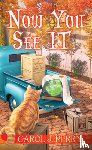 Perry, Carol J. - Now You See It